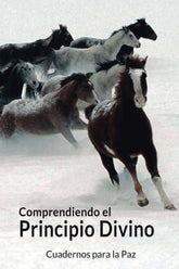 COMPRENDIENDO EL PRINCIPIO DIVINO - 9788412445794